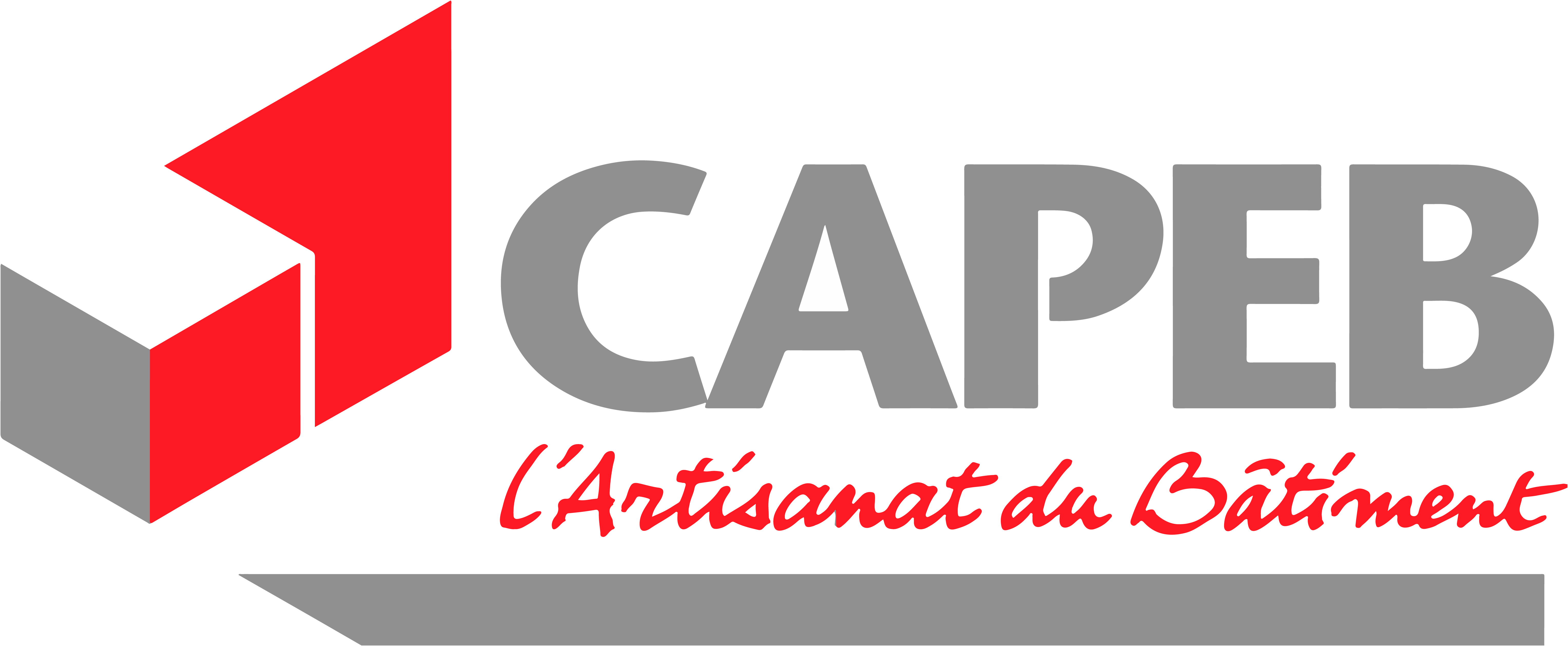 logo_capeb_by_aquareel