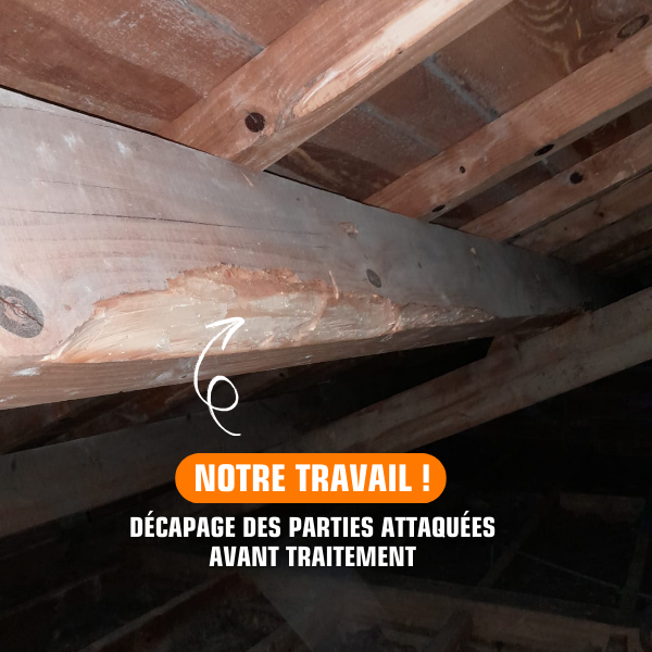 Décapage des parties attaquées avant traitement