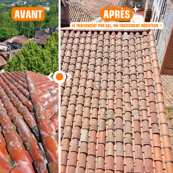 Démoussage de toiture professionnel à Albi - Societe3P