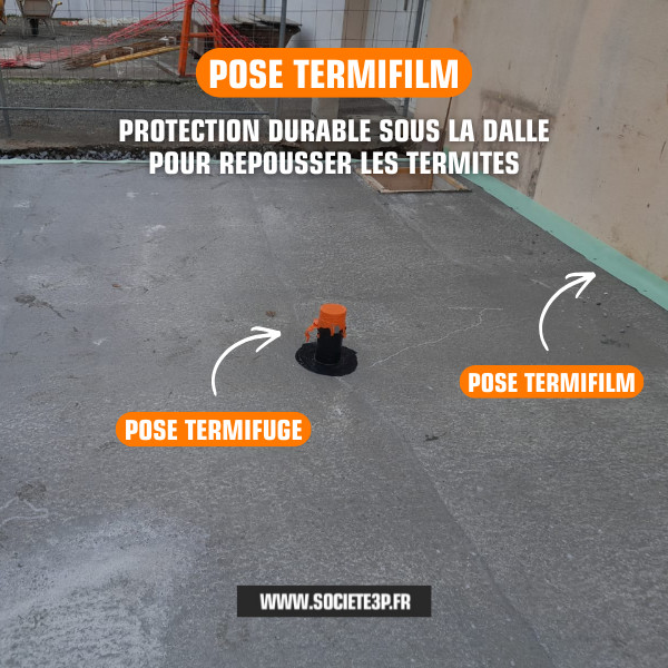 Pose Termifilm pour repousser les termites - Societe 3P