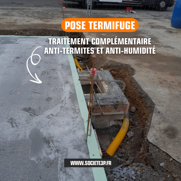Pose Termifuge anti-termites et anti-humidité - Sociéte3P