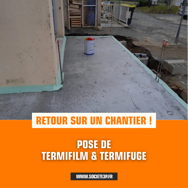 Termifilm et termifuge anti-termite : protéger vos extensions à Albi et dans le Tarn
