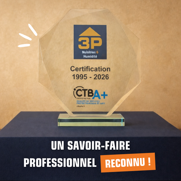 Societe3P : une expertise reconnue depuis 1995 avec le renouvellement de la certification CTBA+